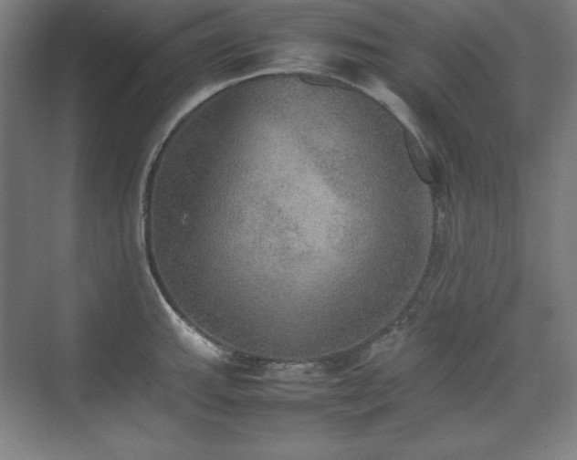 X0000074971143200609011209