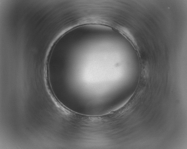 X0000074971144200609011209