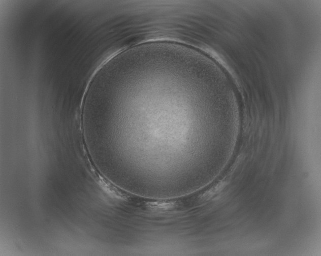 X0000074971145200609011209