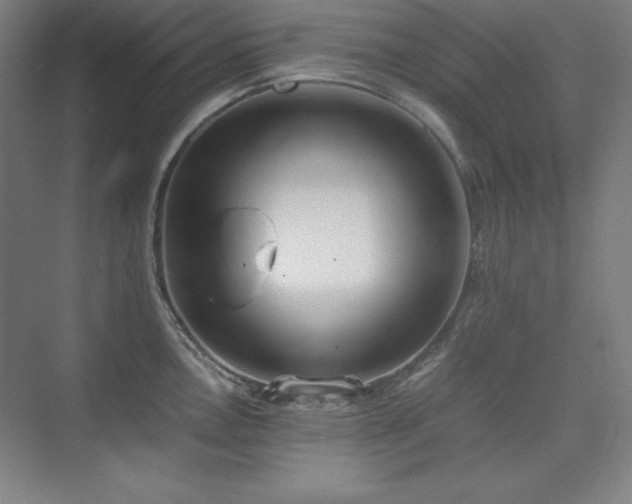 X0000074971146200609011209