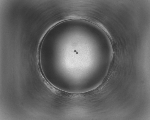 X0000074971148200609011209