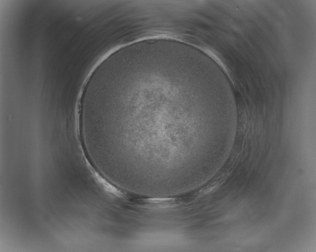 X0000074971151200609011209