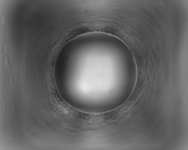 X0000074971153200609011208