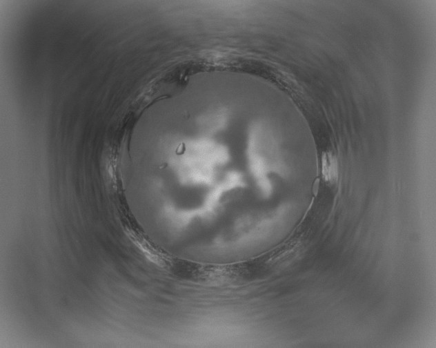 X0000074971155200609011208