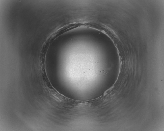 X0000074971160200609011208