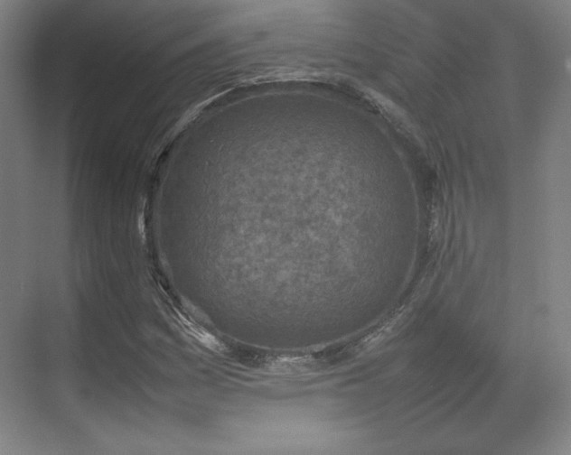 X0000074971161200609011208