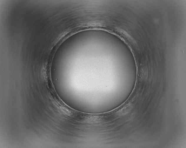 X0000074971162200609011208