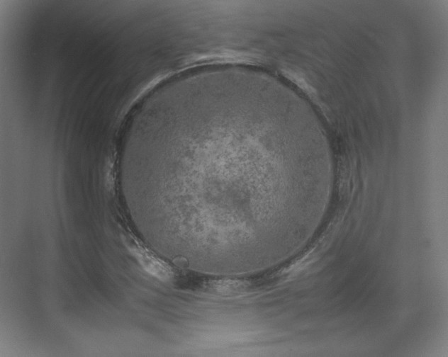 X0000074971163200609011208