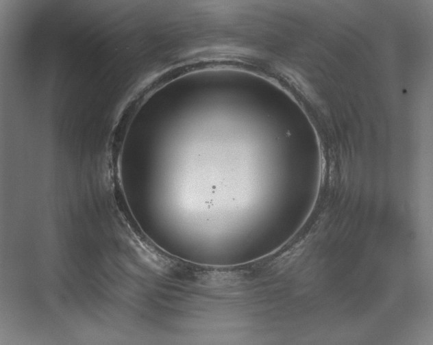 X0000074971164200609011208