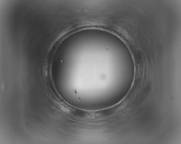 X0000074971165200609011208