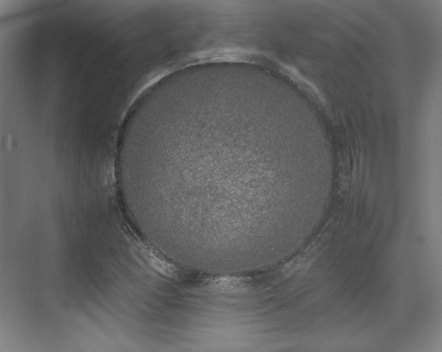 X0000074971166200609011208