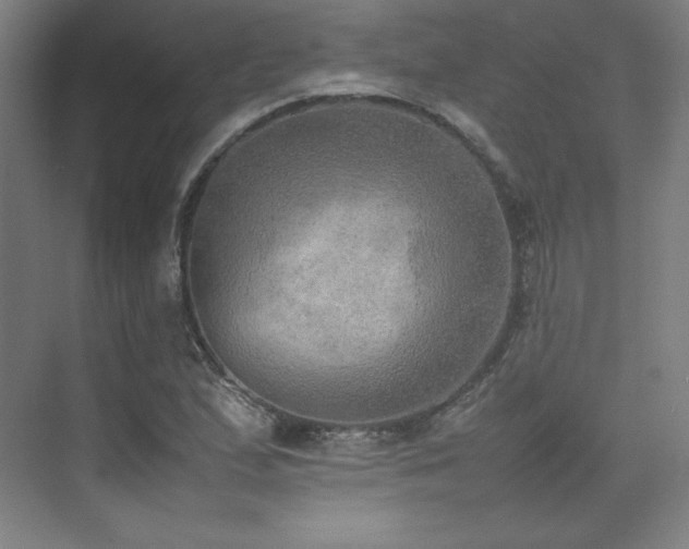 X0000074971167200609011208