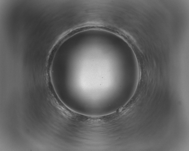 X0000074971168200609011208