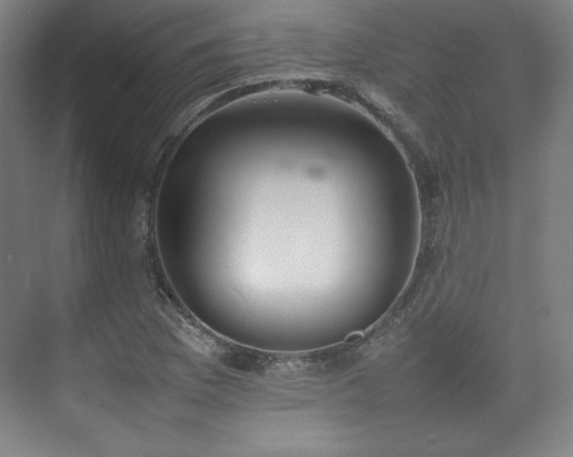 X0000074971169200609011208