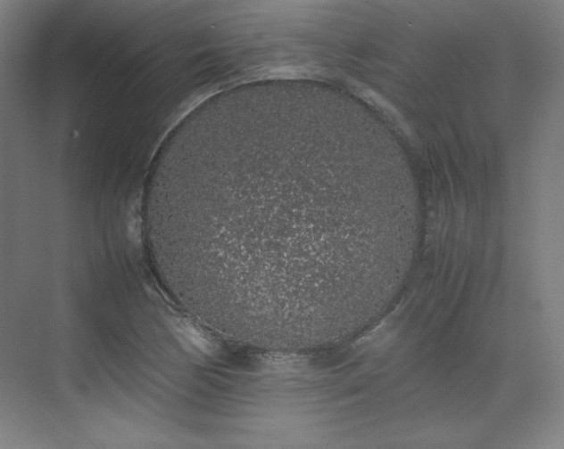 X0000074971170200609011208