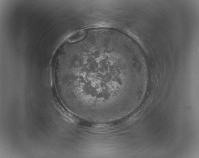 X0000074971171200609011208