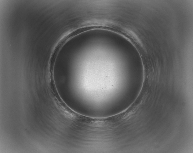 X0000074971172200609011208