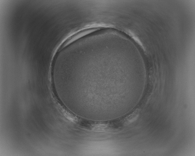 X0000074971173200609011208