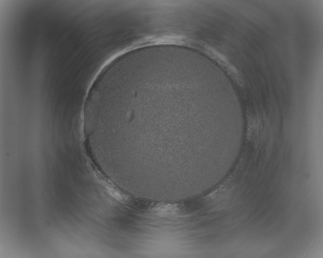 X0000074971174200609011208