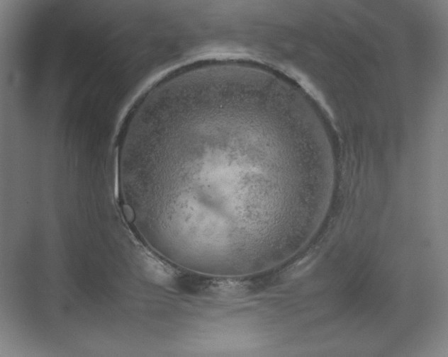 X0000074971175200609011208