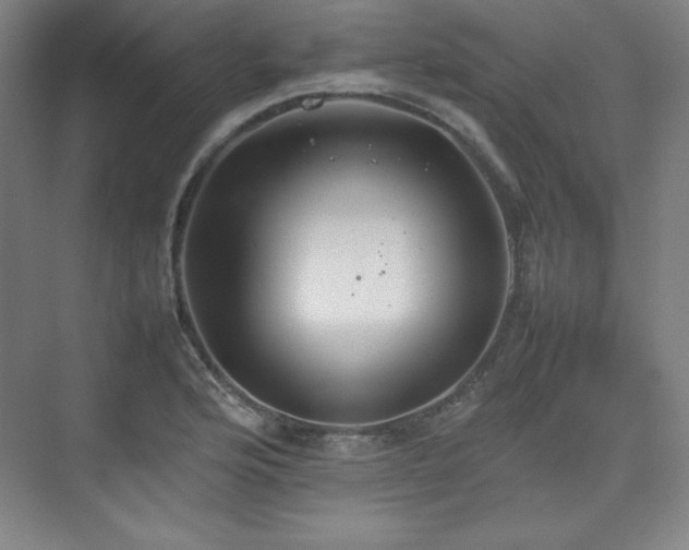 X0000074971176200609011208