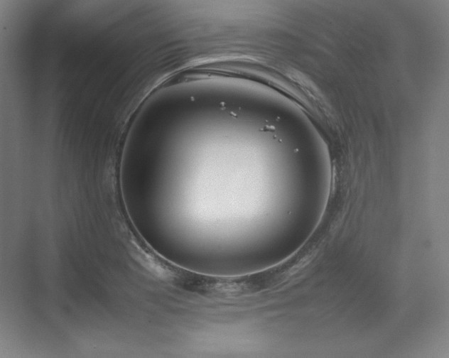 X0000074971177200609011208