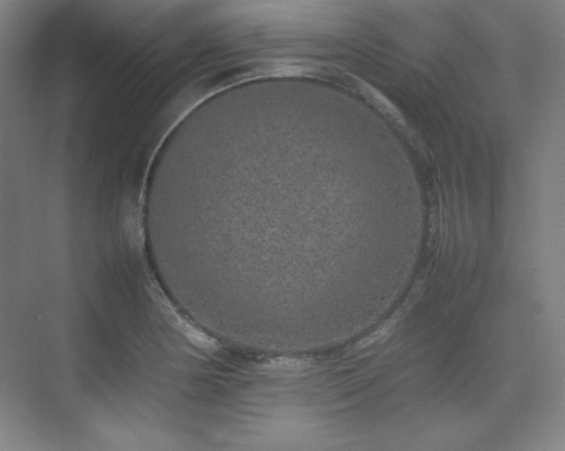 X0000074971178200609011208