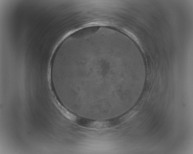 X0000074971179200609011208