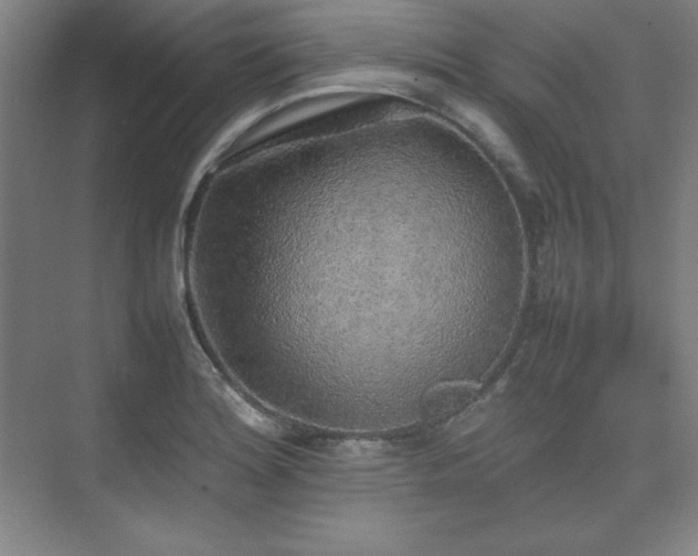 X0000074971180200609011208