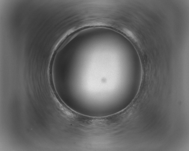 X0000074971181200609011208