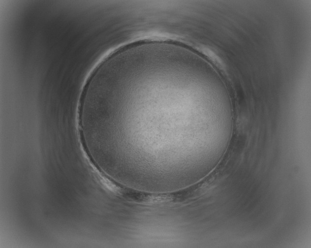 X0000074971183200609011208