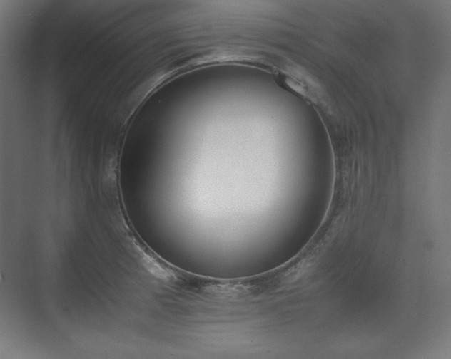 X0000074971185200609011208