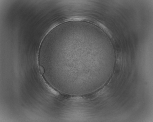 X0000074971186200609011208