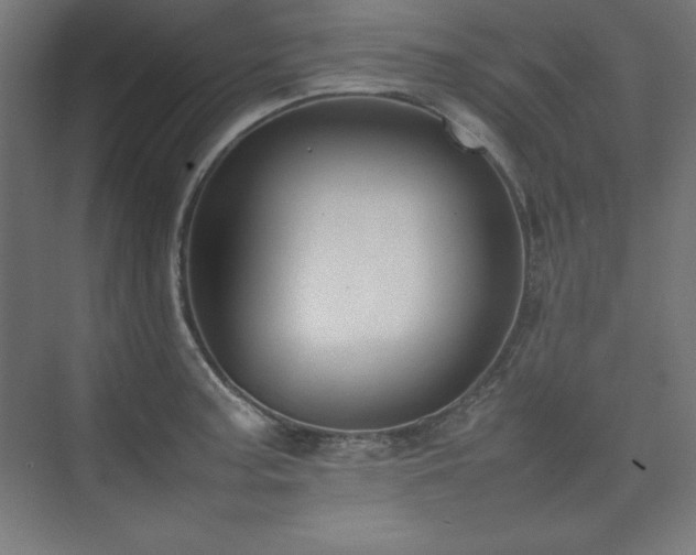 X0000074971187200609011208