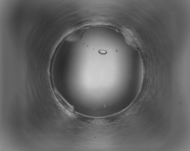 X0000074971189200609011208