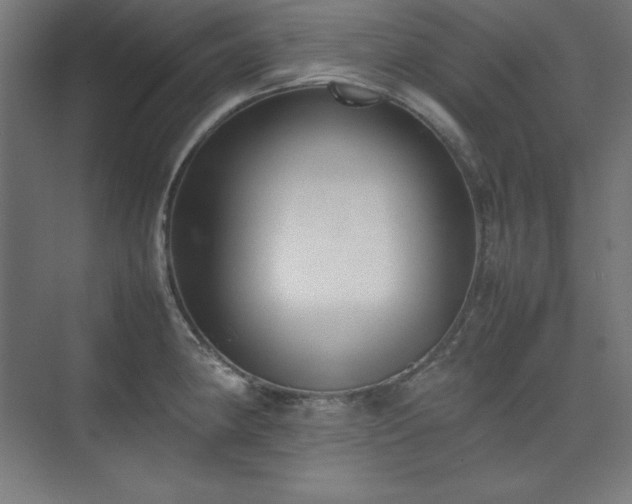 X0000074971190200609011208