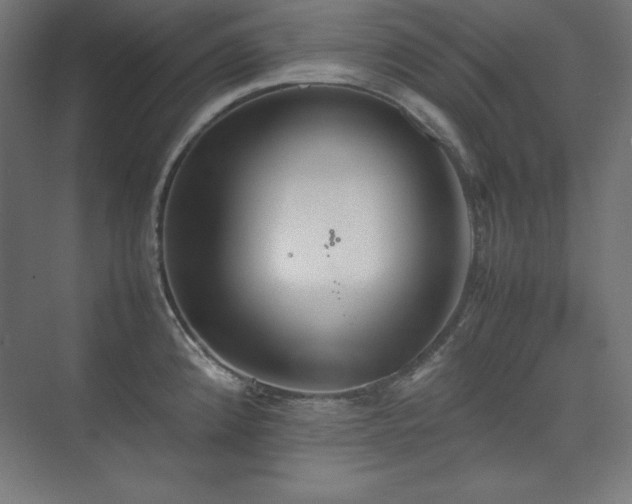 X0000074971192200609011208