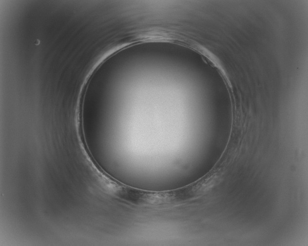 X0000074971195200609011208