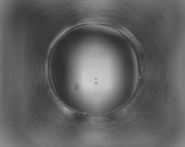 X0000074971196200609011208