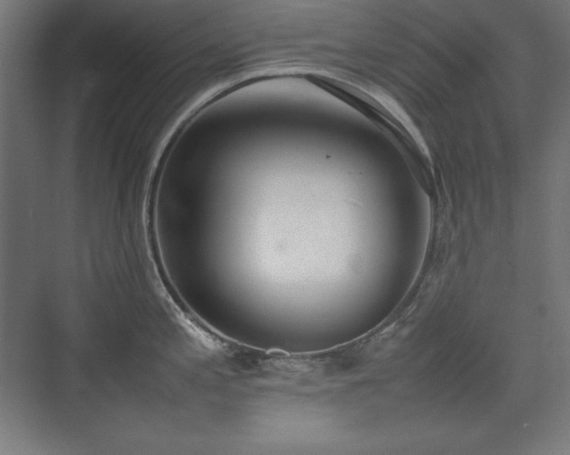 X0000074971197200609011208