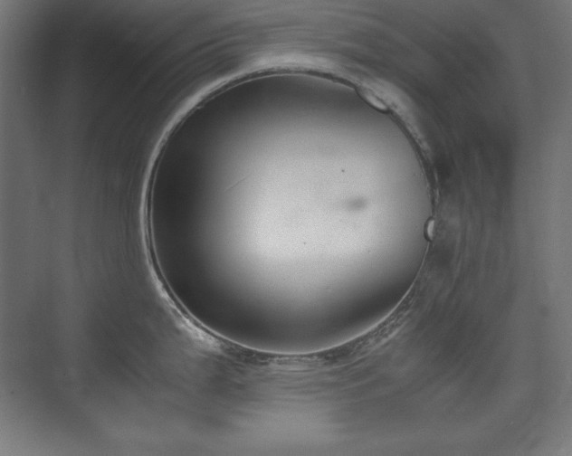 X0000074971199200609011208