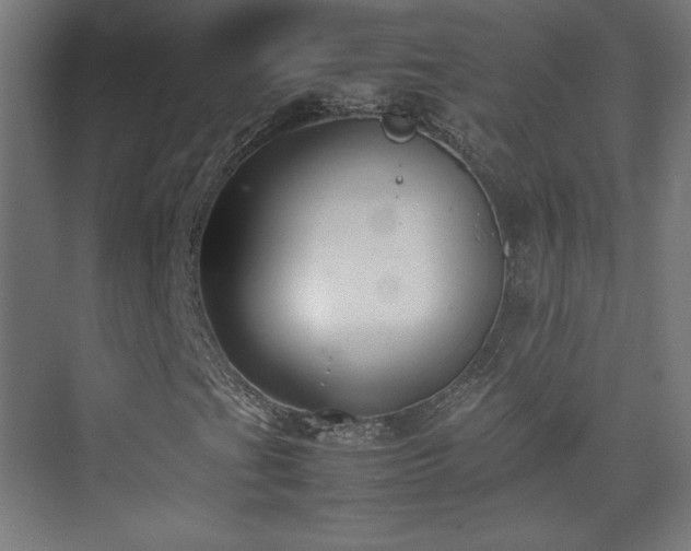 X0000074971201200609011207