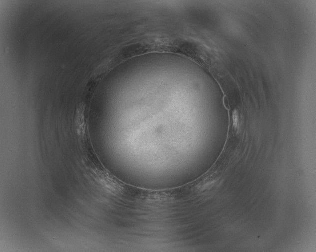 X0000074971203200609011207