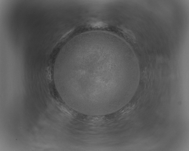 X0000074971205200609011207