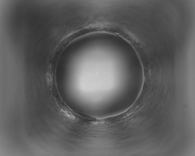 X0000074971206200609011207