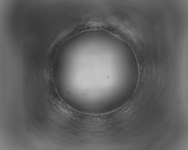 X0000074971207200609011207