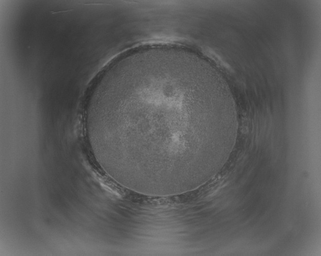 X0000074971208200609011207