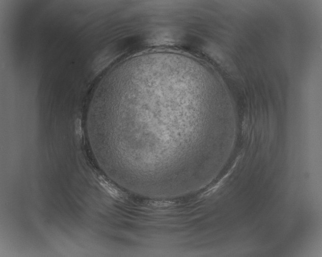 X0000074971209200609011207