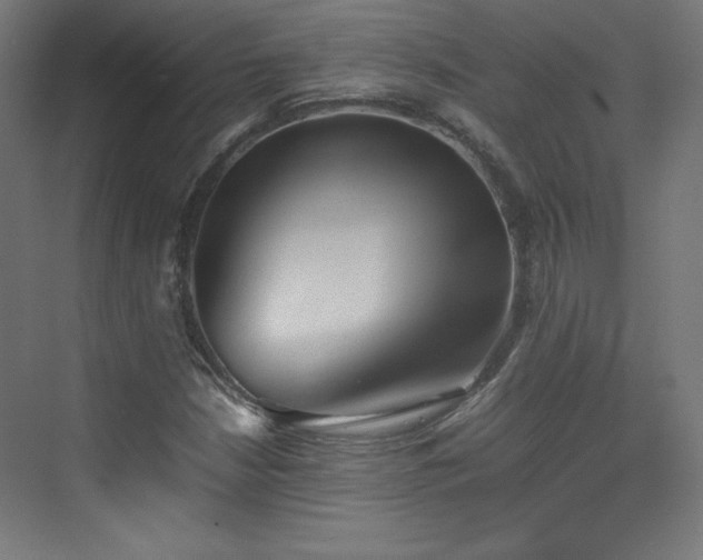 X0000074971210200609011207