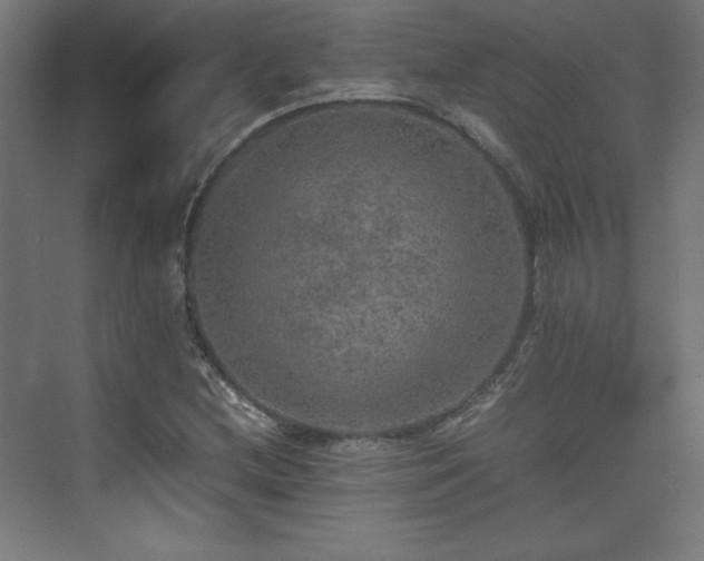 X0000074971212200609011207